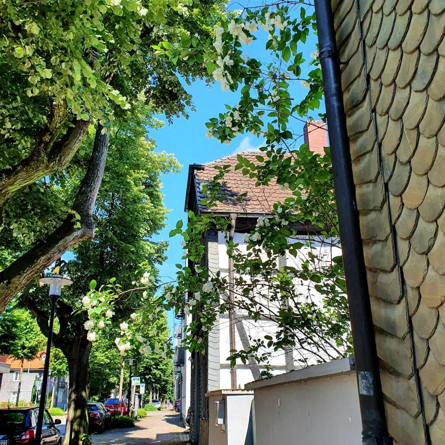 FeWo StadtLandFluss Plus Arnsberg Exterior foto