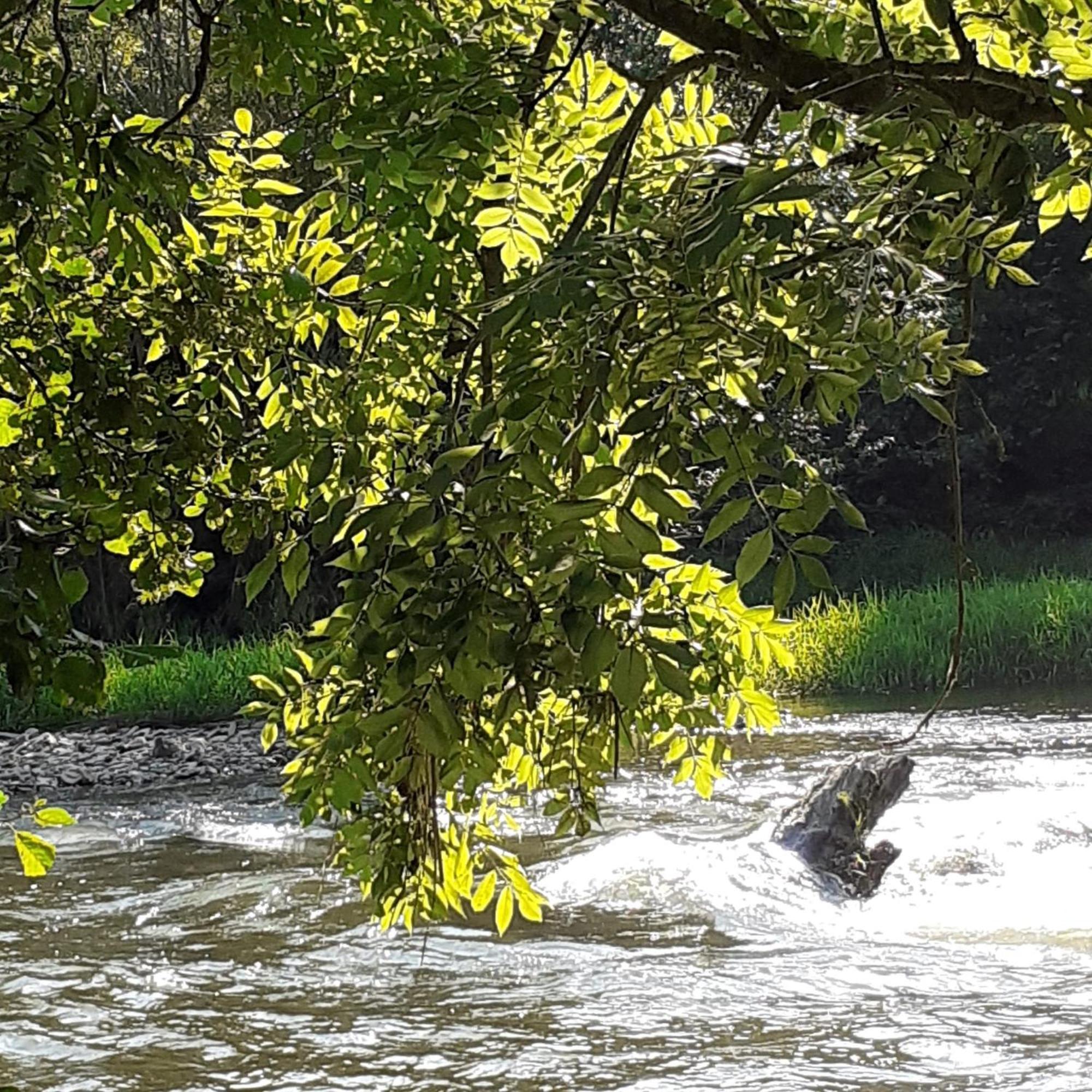FeWo StadtLandFluss Plus Arnsberg Exterior foto